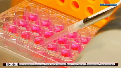 Süleymancılar aspirin