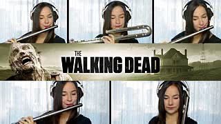 The Walking Dead Theme - Flute Cover