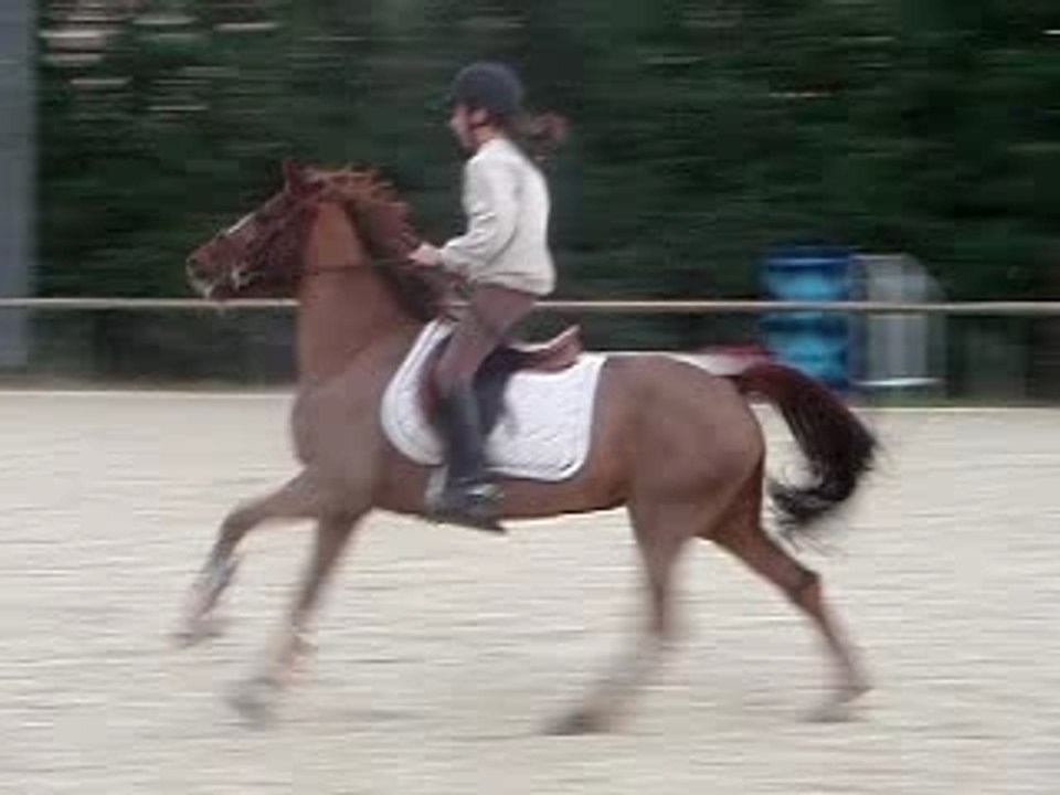 PB070107