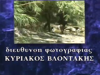 11. Ταύρος με Τοξότη - Επεισόδιο 11ο