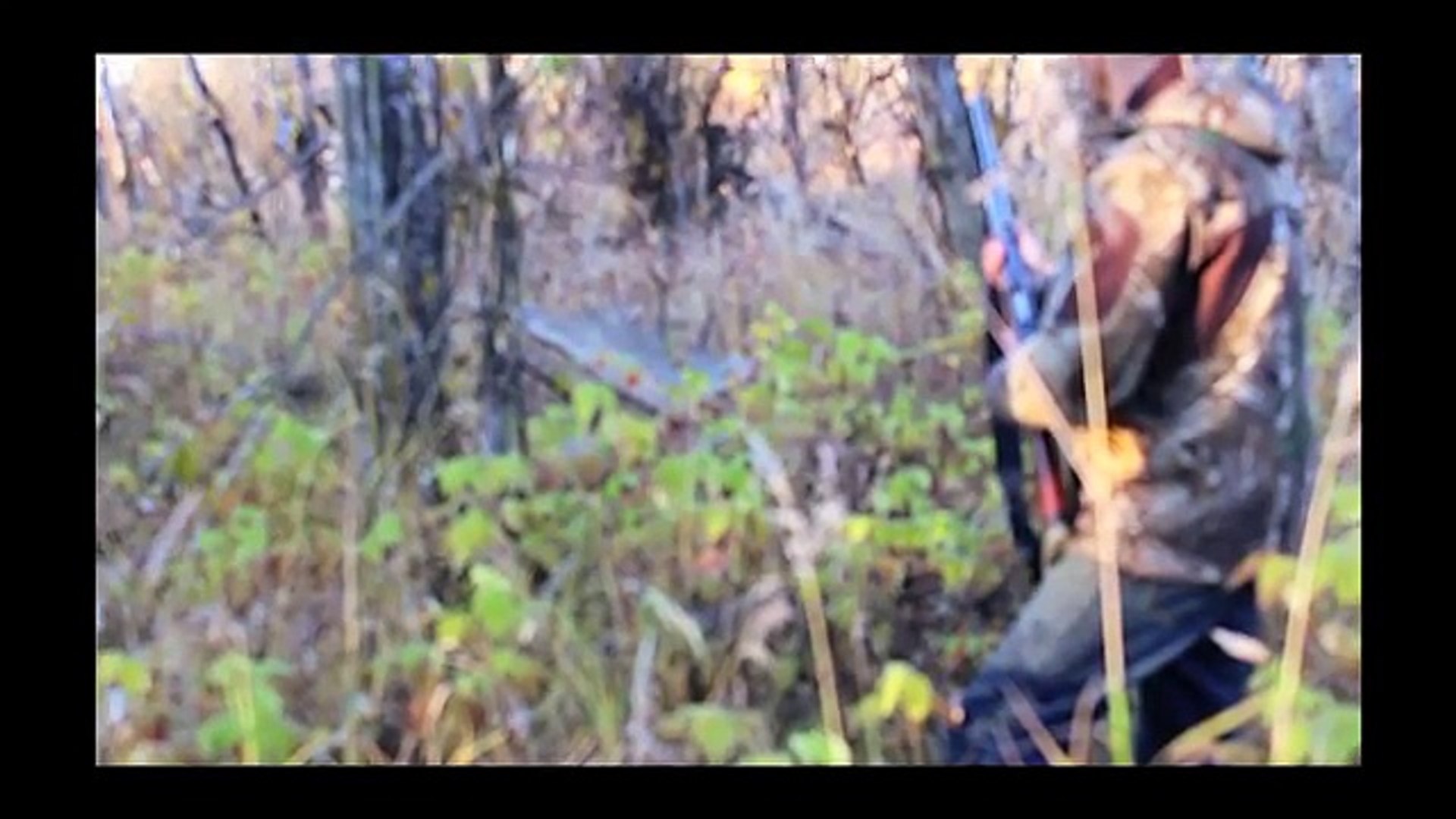 Alaska Moose Hunting 2015