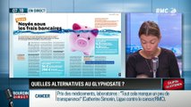 Dupin Quotidien : Trop de frais bancaires ? - 26/10