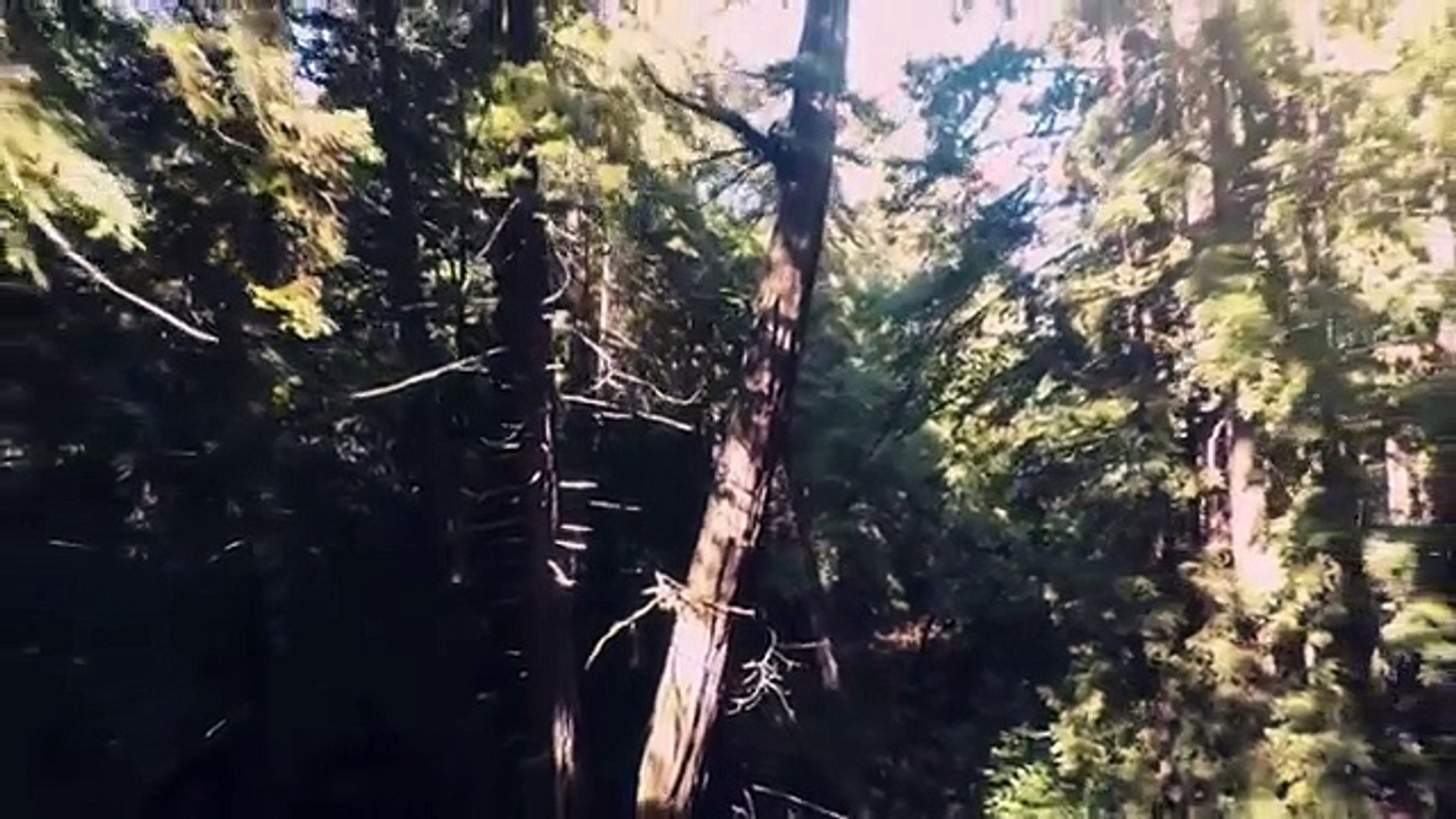 amazing and cinematic background music for video