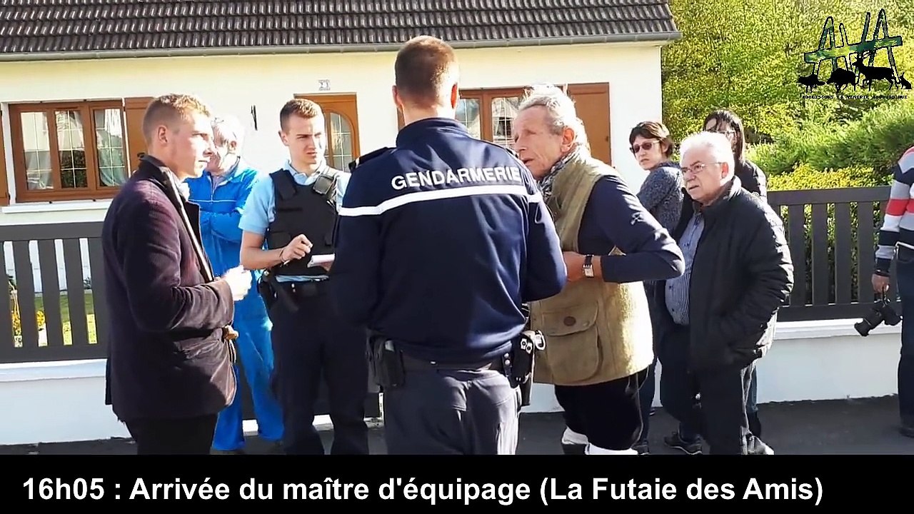 Un cerf abattu dans un jardin privé à La Croix Saint-Ouen