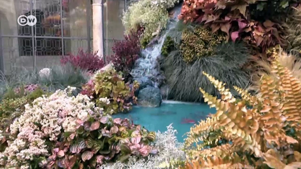 Besuch auf dem Blumenfestival in Córdoba | DW Deutsch
