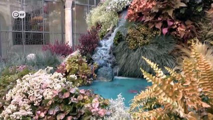 International Flower Festival Córdoba | DW English