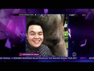 Tulus Kembali Kampanyekan Perlindungan Gajah