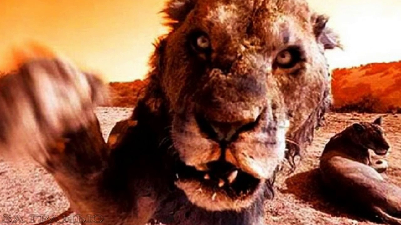 Самые страшные хищники-людоеды