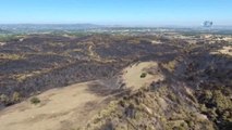 Yanan Ormanlık Alanlar İlk Kez Drone ile Görüntülendi
