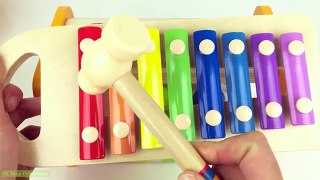Preschool Learning Xylophone Toy Playset Learn Colors Nursery Rhymes Song for Kids