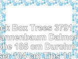 Black Box Trees 379136 Tannenbaum Dalmore Höhe 185 cm Durchmesser 104 cm Tips 1178 grün