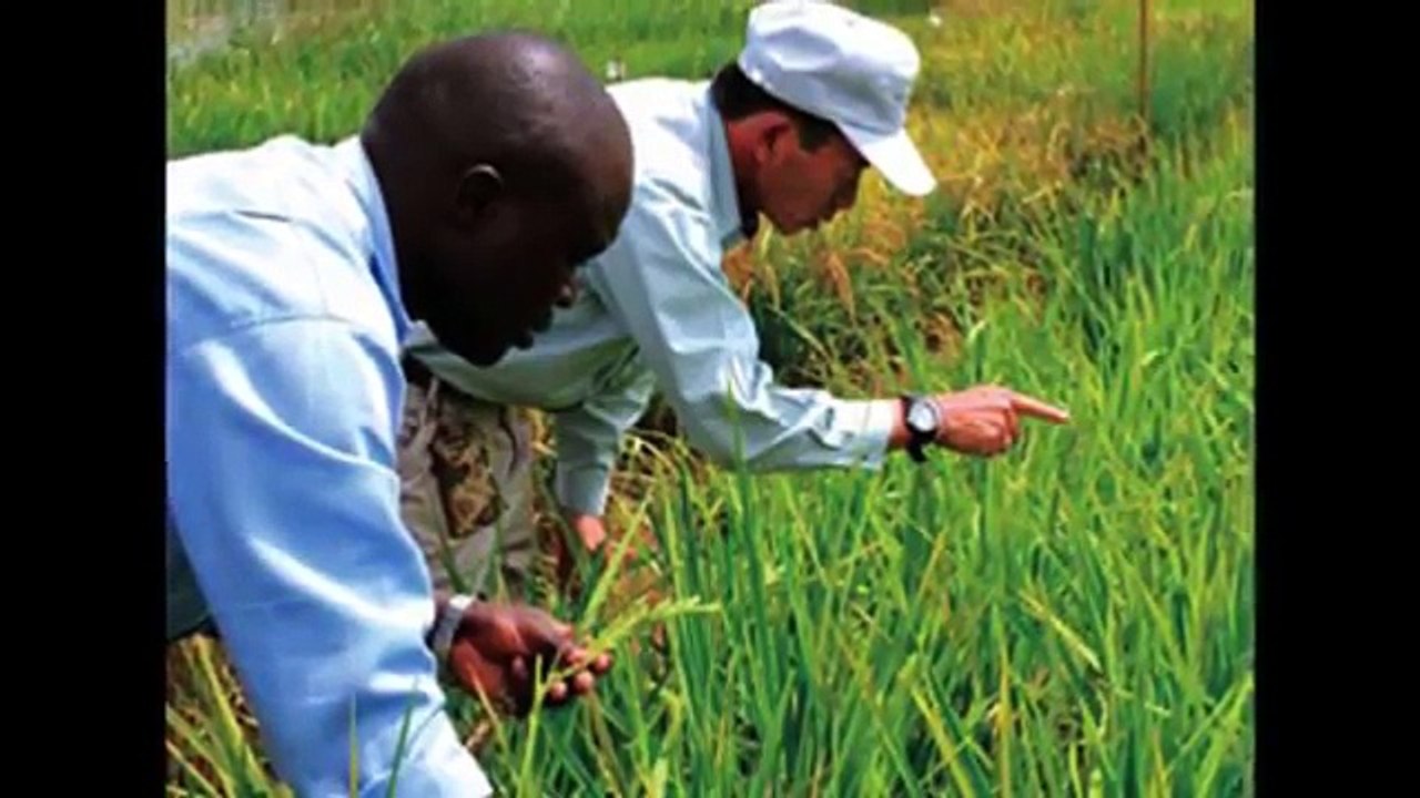 【海外の反応】世界が感動！日本が見せた本当に必要な支援の形とは 海外「これはアフリカの飢餓問題を解決する神の一手だ」未来を見据えた的確な支援に外国人も衝撃と感動の嵐