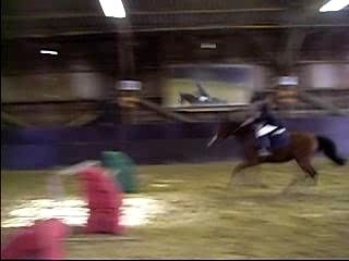 Merry Horse concours 11 Novembre 07