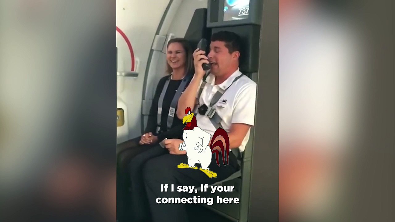 Un steward fait une annonce version cartoon !