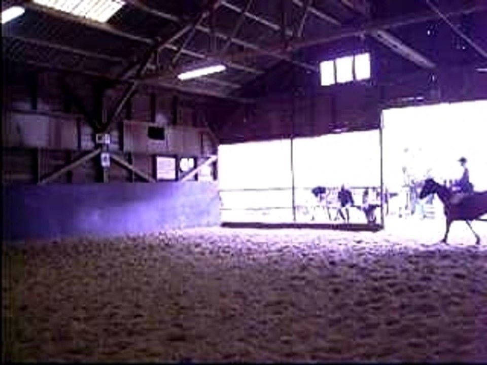 Merry Horse concours 11 Novembre 07