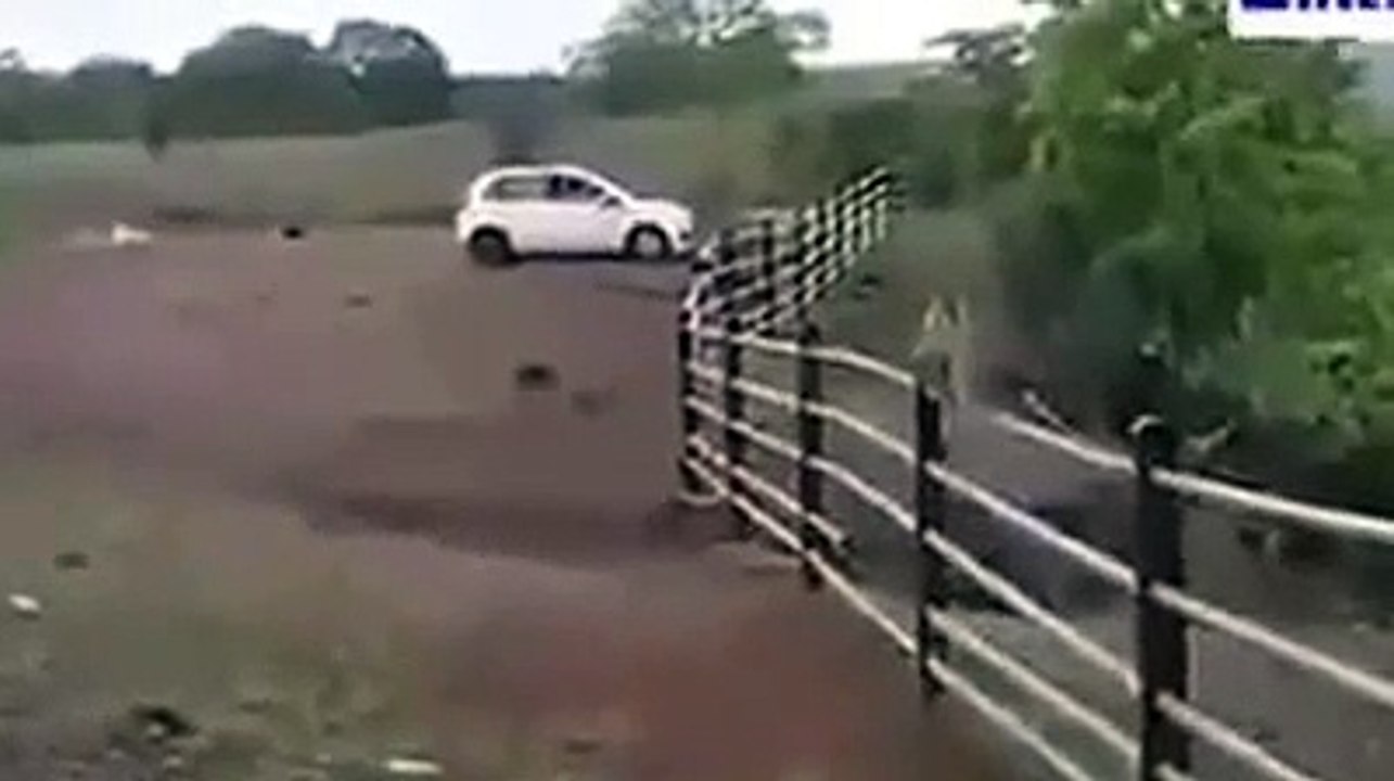 Boy vs monkey very funny video