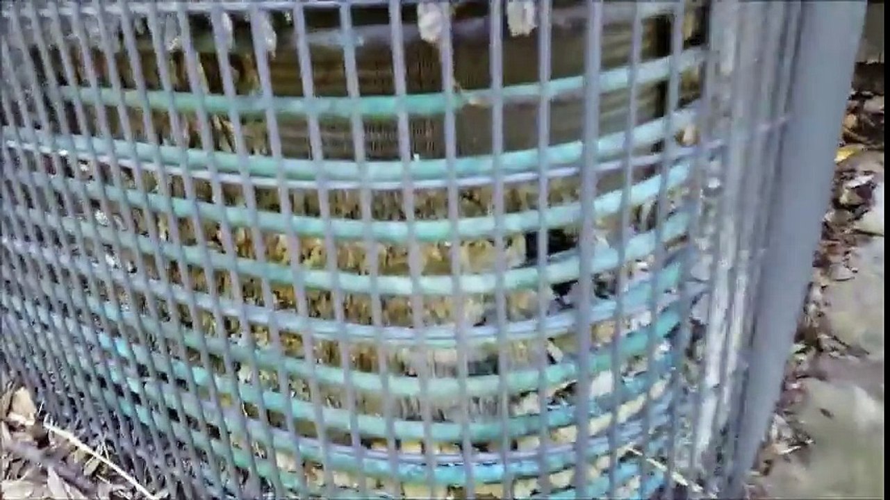 Home Inspector Dallas Shows Dog Urine Destroys AC