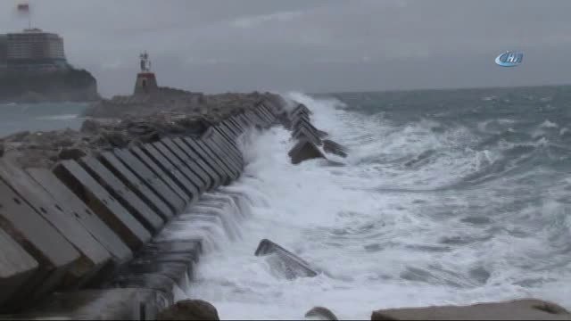 Tezgahlarda Hamsi Bolluğu... Kilosu 10 Liradan Satıldı