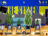 Weed firm 2 energy glitch