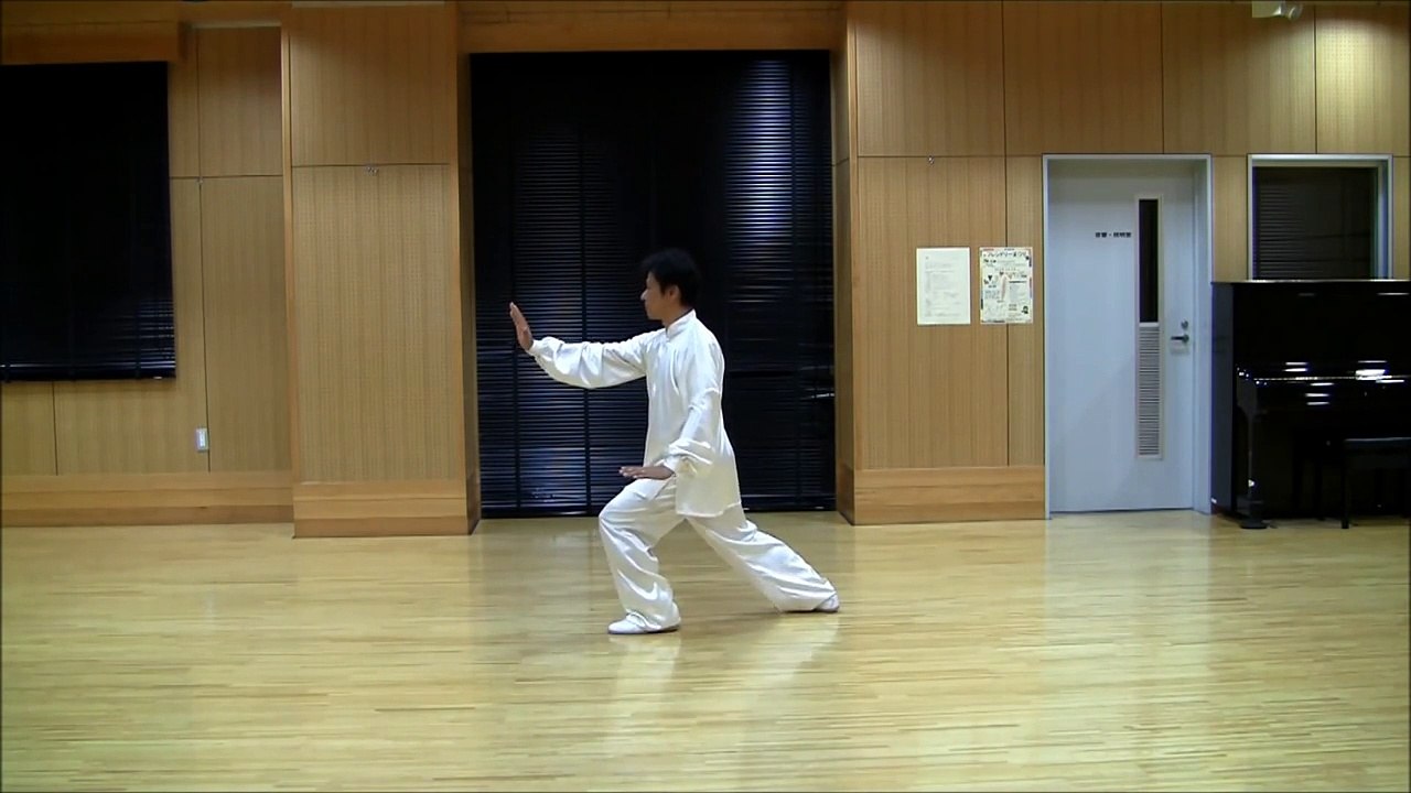Tai ji quan - 48 form - Back view