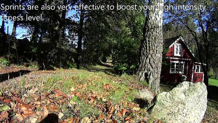 Increase your fitness level, Join Andreas Jimmy Training Online Workout Inspiration.