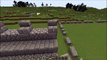 Minecraft : Lets Build A Kingdom #1 - The Walls