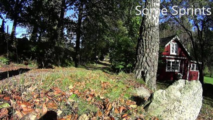 Outdoor Bodyweight workout motivation training video. Online https://www.workout-training.com/