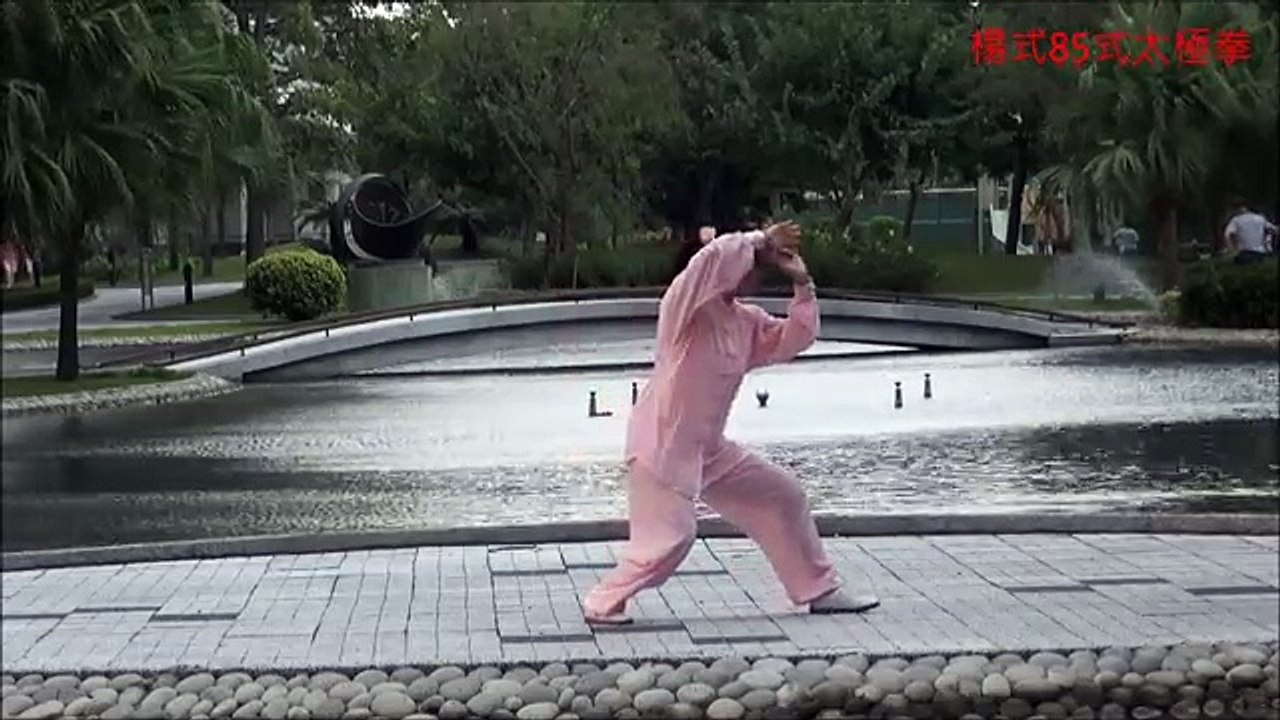 Tai chi chuan - 108 form - Yang style