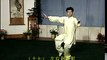 Tai chi chuan - 108 form - Back view - Yang style