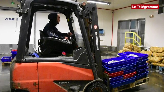 Erquy (22). La criée fête ses 40 ans ce dimanche