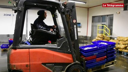 Erquy (22). La criée fête ses 40 ans ce dimanche