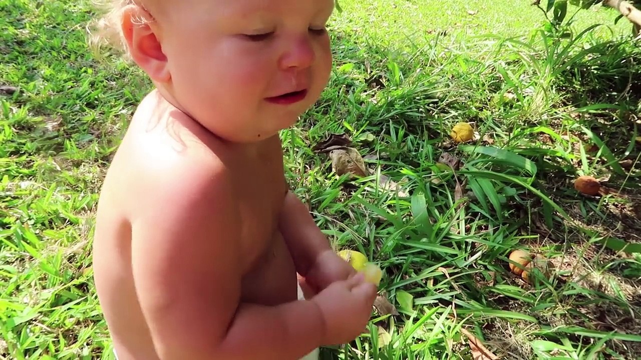 Construction Trucks Make Coconut Limeade