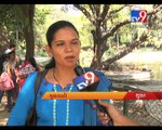 Diwali becomes biggest for Surat zoo, earns Rs.14 lakh in 6 days  - Tv9 Gujarati