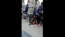 Il se fait prendre entrain de voler le sac d'une femme dans le train.