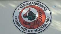 Kahramanmaraş Orman Bölge Müdürü Altındaş: 