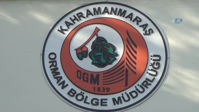 Kahramanmaraş Orman Bölge Müdürü Altındaş: Yanan Alanları Bir Yılda Ağaçlandıracağız
