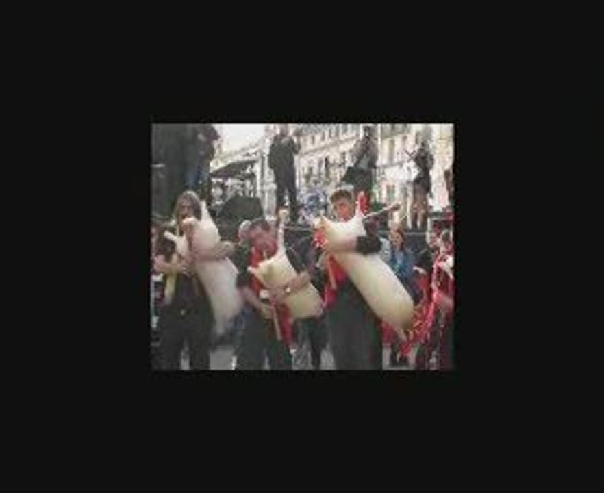 Label Compil total festum