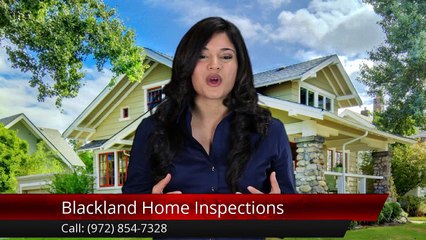 Blackland Home Inspections Milford Outstanding 5 Star Review by David P.