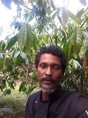 Je suis producteur de cacao et chocolatier en Guyane