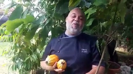 Nous avons été reconnus parmi les 20 meilleurs chocolatiers du monde