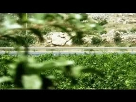 [Israel-Palestine] Occupation 101-4