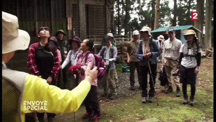 Enlacer les arbres, une thérapie toute naturelle au Japon