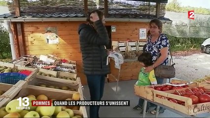 Économie : quand les producteurs de pommes s'unissent