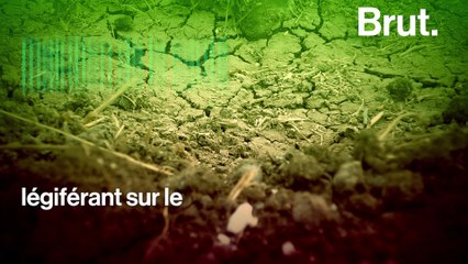 Le sol britannique en passe de devenir stérile ?