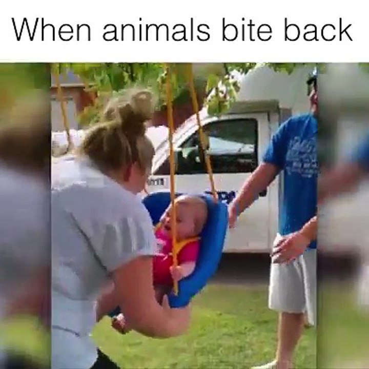 when animals bite back
