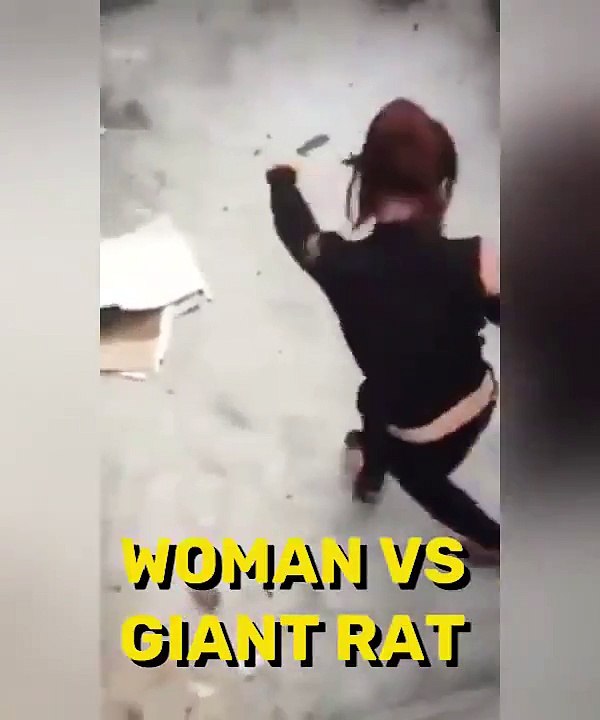 femme vs rat