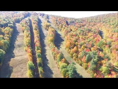 Drone Footage Captures Multi-Colored Fall Foliage in New Hampshire