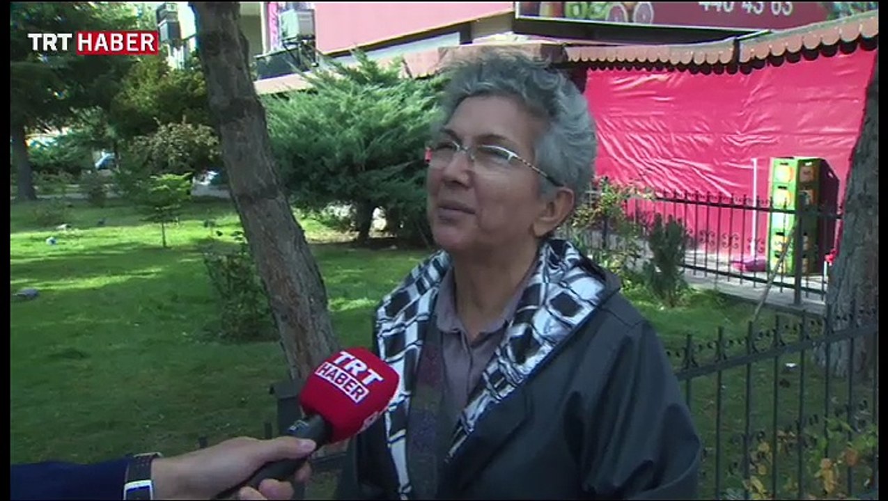 Şirket sorgulama sistemi
