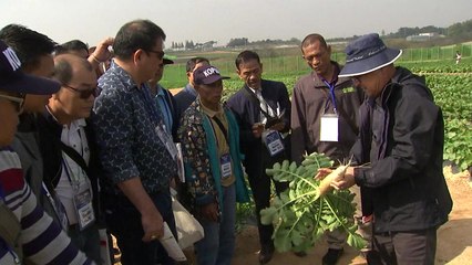 금보다 비싼 씨앗...국제박람회 열렸다 / YTN