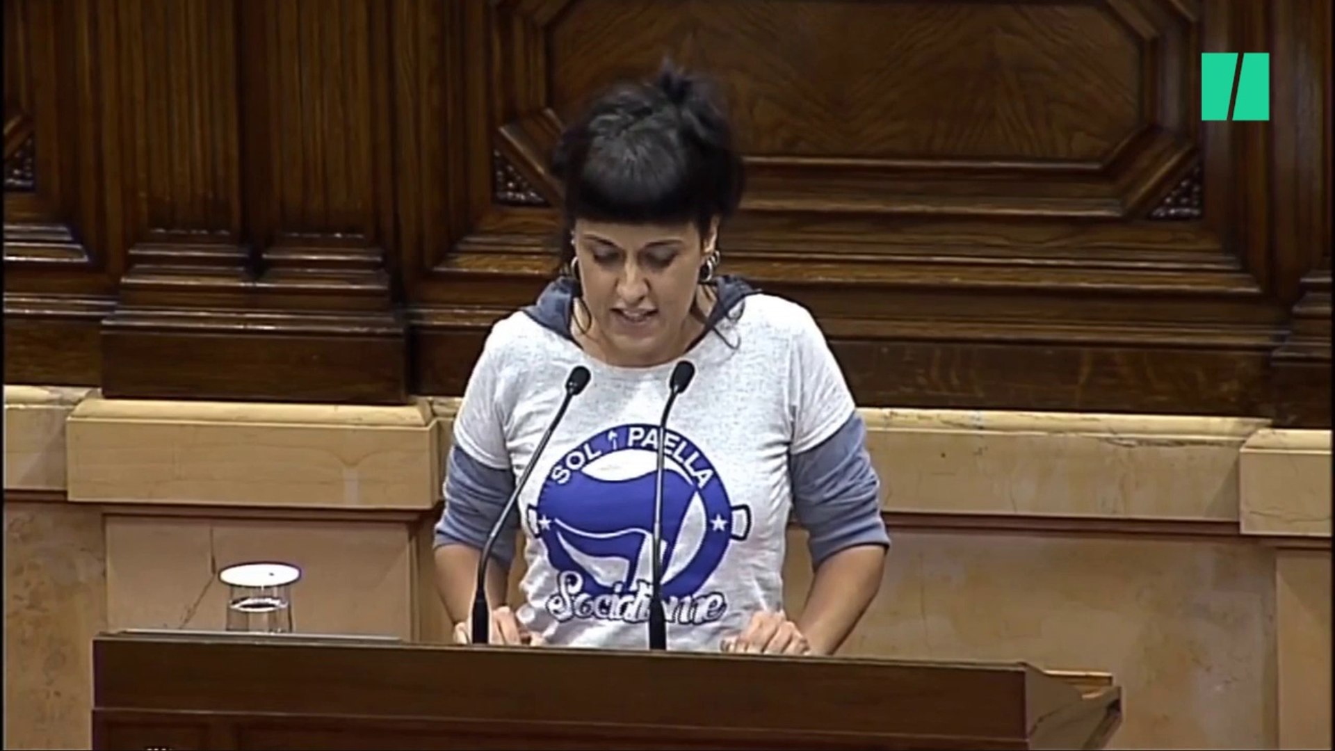 Anna Gabriel da mucho que hablar por la camiseta que ha llevado al  Parlament - Vídeo Dailymotion